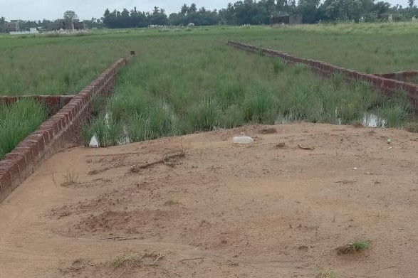 Gharabari Plot Sale At Bhubaneswar Balinta(Mouja Dhamilo)